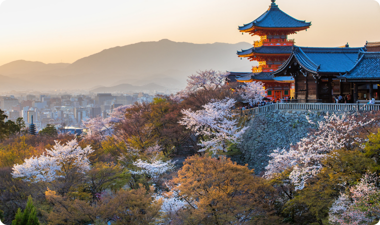 Kiyomizu Dera Temple Japan cherry blossoms